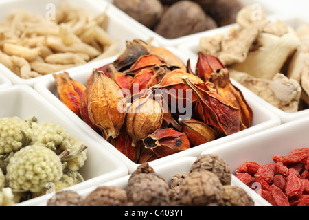 Nahaufnahme der traditionellen chinesischen Medizin Stockfoto