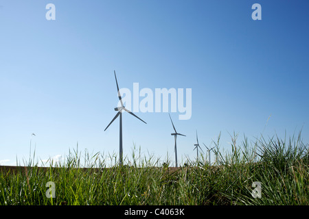 Windkraftanlagen im Bereich Stockfoto