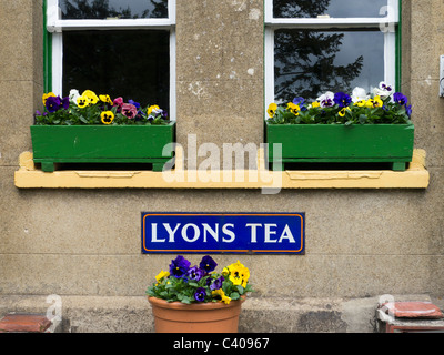 Lyons Tee Werbung unter Blumenkästen auf Alresford Station ist Teil der Mitte Hants. Eisenbahn in Hampshire, England. Stockfoto