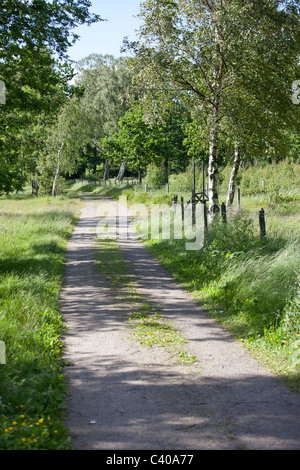 Eine alte Straße durch schwedische ländliche Landschaft Stockfoto