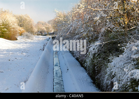 Felder auf Guttridge Lane, Tadley, Hampshire, England, Vereinigtes Königreich, Vereinigtes Königreich Stockfoto
