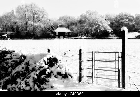 Spaziergang in den Wäldern. Haus in der Nähe von Shaw Lane, Tadley, Hampshire, England, UK, Vereinigtes Königreich Stockfoto