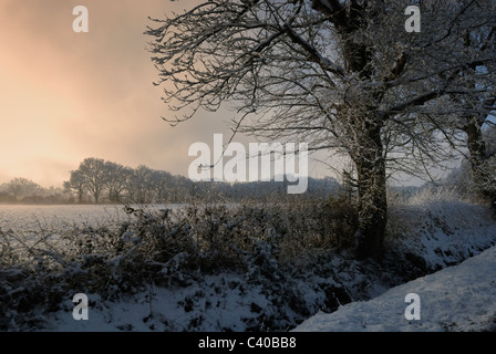 Shaw Lane, vor Sonnenuntergang. Fotografiert in Großbritannien Tadley, Hampshire, England, UK. Stockfoto