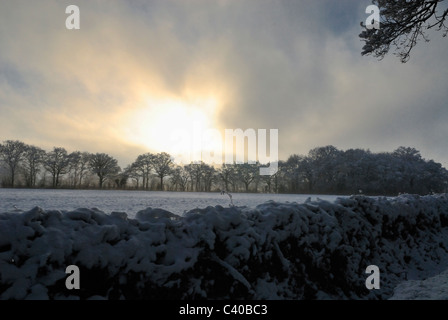 In der Nähe von Shaws Lane, Tadley, Hampshire, England, UK Großbritannien übernommen. Stockfoto