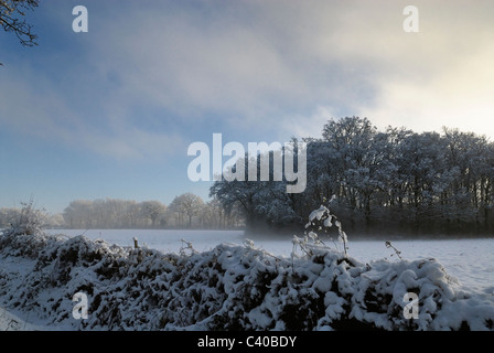 Felder auf Bishopswood Lane, Tadley, Hampshire, England, UK Großbritannien. Stockfoto