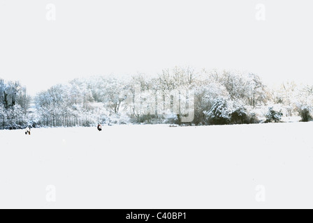 Schneefeld in der Nähe Bishopswood Lane, Tadley, Hampshire, England, UK United Kingdom. Stockfoto