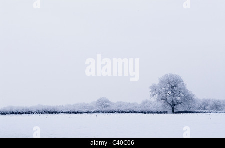 -Schnee in Tadley, Hampshire. Vereinigtes Königreich. Fotos während der verschiedenen Zeiten des Tages, zeigt die ländliche Landschaft. Stockfoto