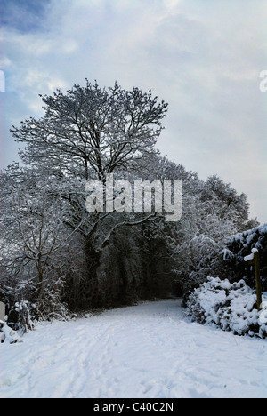 -Schnee in Tadley, Hampshire. Vereinigtes Königreich. Fotos während der verschiedenen Zeiten des Tages, zeigt die ländliche Landschaft. Stockfoto