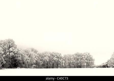-Schnee in Tadley, Hampshire. Vereinigtes Königreich. Fotos während der verschiedenen Zeiten des Tages, zeigt die ländliche Landschaft. Stockfoto
