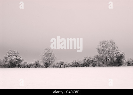 -Schnee in Tadley, Hampshire. Vereinigtes Königreich. Fotos während der verschiedenen Zeiten des Tages, zeigt die ländliche Landschaft. Stockfoto