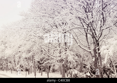 -Schnee in Tadley, Hampshire. Vereinigtes Königreich. Fotos während der verschiedenen Zeiten des Tages, zeigt die ländliche Landschaft. Stockfoto