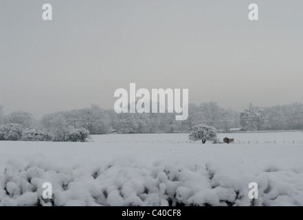 Kalter Morgen, mit Schnee bedeckt Scheune im Feld in der Nähe von Tadley. Hampshire, England, UK, Vereinigtes Königreich. Stockfoto