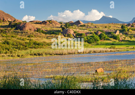 Madagaskar Andringitra Parc national NP am frühen Morgen Sonne breit Land Landschaft Madagaskar Afrika Afrika Berg-Plateau Pic boby Stockfoto