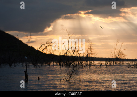 Morgendämmerung am Saltlake Lago Enriquillo, der Nationalpark Isla Cabritos, Dominikanische Republik Stockfoto