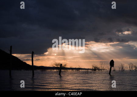 Morgendämmerung am Saltlake Lago Enriquillo, der Nationalpark Isla Cabritos, Dominikanische Republik Stockfoto