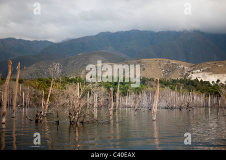 Impressionen vom Saltlake Lago Enriquillo, der Nationalpark Isla Cabritos, Dominikanische Republik Stockfoto