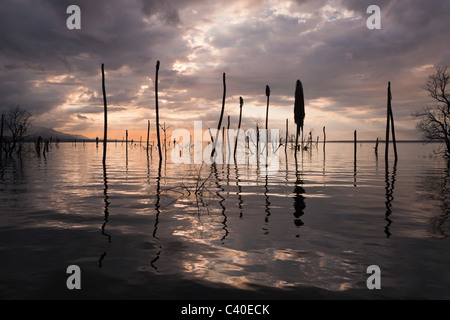 Impressionen vom Saltlake Lago Enriquillo, der Nationalpark Isla Cabritos, Dominikanische Republik Stockfoto