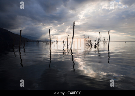 Sonnenaufgang am Saltlake Lago Enriquillo, der Nationalpark Isla Cabritos, Dominikanische Republik Stockfoto