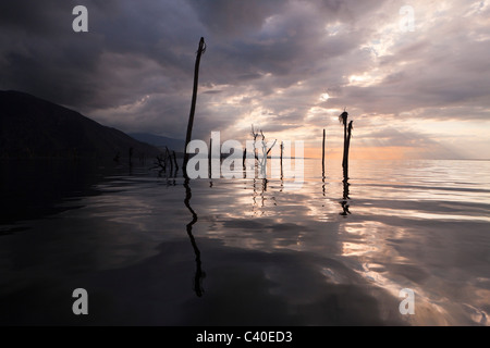 Sonnenaufgang am Saltlake Lago Enriquillo, der Nationalpark Isla Cabritos, Dominikanische Republik Stockfoto