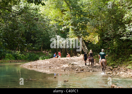 Reiten Tour zum Wasserfall Cascada El Limon, Las Terrenas, Halbinsel Samaná, Dominikanische Republik Stockfoto