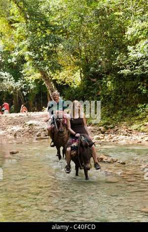 Reiten Tour zum Wasserfall Cascada El Limon, Las Terrenas, Halbinsel Samaná, Dominikanische Republik Stockfoto