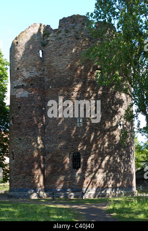 Das 14. Jahrhundert Kuh Turm neben dem Fluss Wensum, Norwich, Norfolk, Großbritannien. Stockfoto