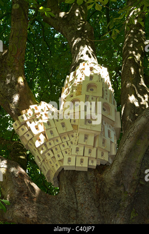 Die Künstlergruppe Fieldworks installiert eine spontane Stadt von Vogel-Boxen in Norwich, Norfolk, Großbritannien. Stockfoto