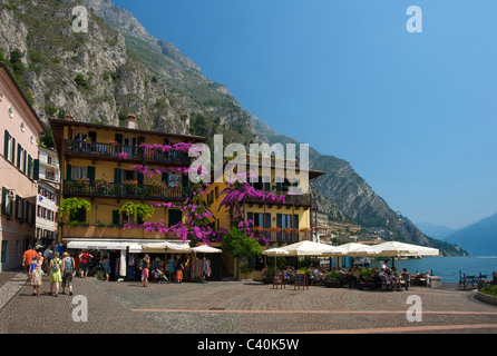 Gardasee, Italien, Cafels, Kalk, Cedrat, Trentino, Ort, Raum, Blumen Stockfoto