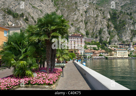 Gardasee, Italien, Cafels, Kalk, Cedrat, Trentino, Palmen, Quai Stockfoto