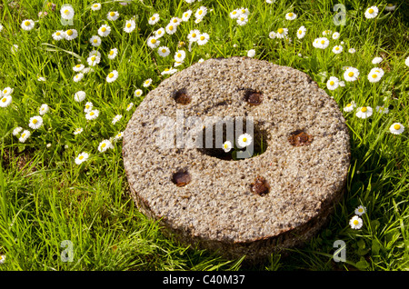 alter Mühlstein in den Garten und morgen Blumen Stockfoto