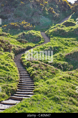 Steile Treppen hinauf eine kleine Klippe auf dem South West Coast Path in Nord-Devon in der Nähe von Woolacombe Stockfoto
