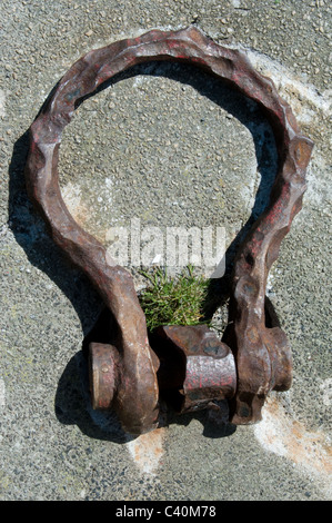 eisernen Ring Kai Seite Port Hafen Küste Küste Rost verrostet getragen alte Industrie maritime Marineschiff Anker Leine Festmacher Liegeplatz Stockfoto