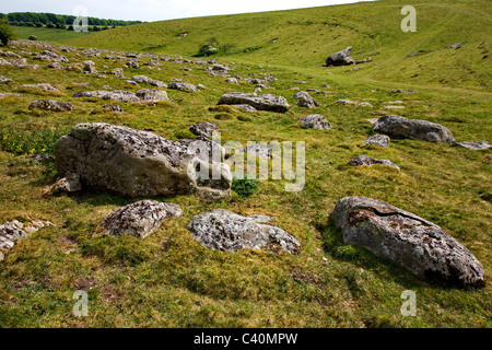 Großen Sarsen Steinen Futter ein trockener Kreide-Tal auf das nationale Naturschutzgebiet Fyfield unten in Wiltshire Stockfoto