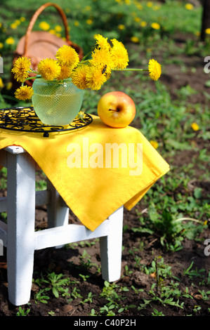 Bouquet von Löwenzahn und Honigbiene im Garten. Stockfoto