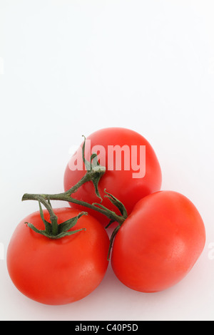 Nahaufnahme von 3 roten Tomaten auf ein Weinstock vor einem weißen Hintergrund Stockfoto