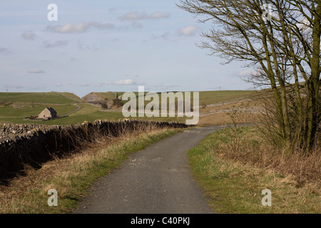 Blick entlang der Tissington Trail zwischen Petersilie Heu und Tissington Derbyshire England Stockfoto