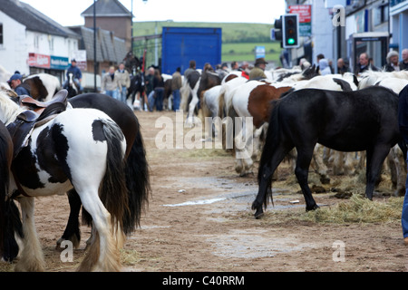 Pferde auf der vorübergehend geschliffen Hauptstraße an der Hennef können fair County Antrim-Nordirland Stockfoto