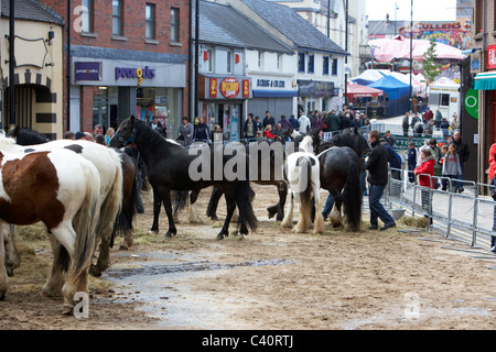 Pferde auf der vorübergehend geschliffen Hauptstraße an der Hennef können fair County Antrim-Nordirland Stockfoto