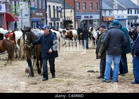 Mann kann führenden Pferd vorbei Pferdehändler während der Hennef County Antrim-Nordirland-Messe Stockfoto