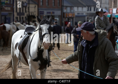 Man führenden Pferd Hauptstraße während Kuhhandel Hennef kann fair County Antrim-Nordirland Stockfoto