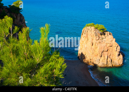 Illa Roja, Spanien, Europa, Katalonien, Costa Brava, Meer, Mittelmeer Meer, Küste, Felsenküste, Fels, Felsen, Bäume, Kiefern Stockfoto