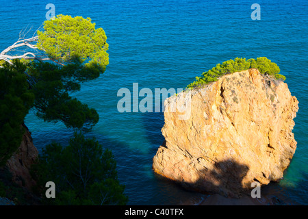 Illa Roja, Spanien, Europa, Katalonien, Costa Brava, Meer, Mittelmeer Meer, Küste, Felsenküste, Fels, Felsen, Bäume, Kiefern Stockfoto