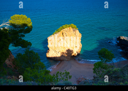 Illa Roja, Spanien, Europa, Katalonien, Costa Brava, Meer, Mittelmeer Meer, Küste, Felsenküste, Fels, Felsen, Bäume, Kiefern Stockfoto