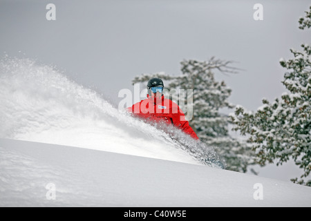 Snowboarder tiefen Neuschnee in Brighton Skigebiet genießen. Salt Lake City, Utah, USA, Nordamerika Stockfoto