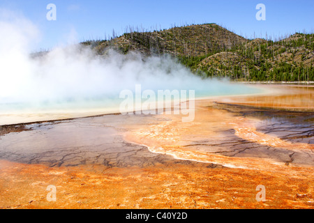Die Grand prismatische Frühling im Yellowstone-Nationalpark Midway Geyser Basin. Stockfoto