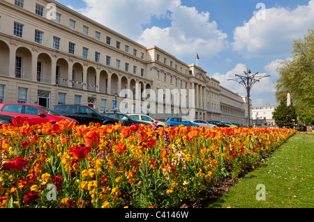 Terrasse der georgianischen Häuser und der Cheltenham Borough kommunalen Büros Cheltenham Spa Gloucestershire England GB UK EU Stockfoto