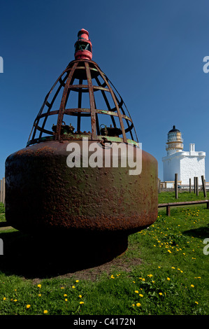 Bojen vor Kinnaird Head Lighthouse (Museum der schottischen Leuchttürme), Fraserburgh, Aberdeenshire, Schottland Stockfoto