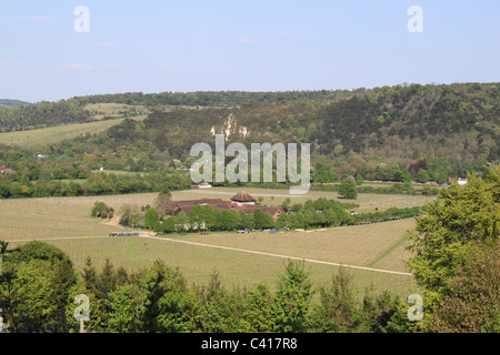 Denbies Wine Estate and Box Hill, Dorking, Surrey Hills, North Downs, England, Großbritannien, Großbritannien, Großbritannien, Europa Stockfoto