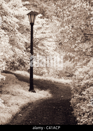 Park Pfad & Lamp Post im Infrarotbereich fotografiert Stockfoto