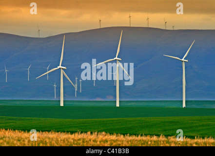 Reihe von stromerzeugende Windmühlen in Wasco, Oregon Stockfoto